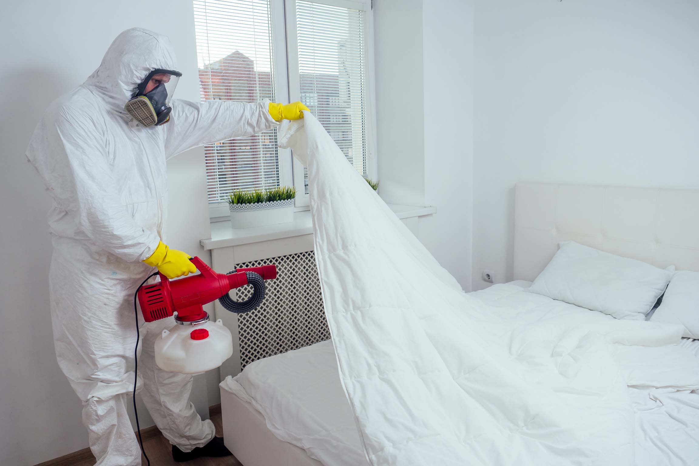 Bedbug Removal Sydney - Pestology pest control can help fix your problem.