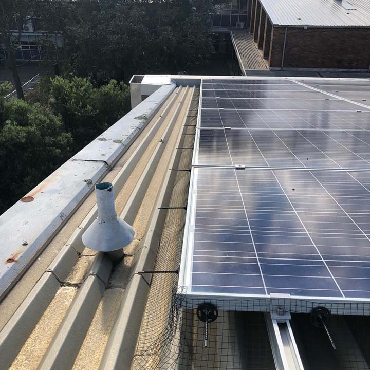 Bird Control Sydney - Pestology Solar Panel Bird Proofing Solutions