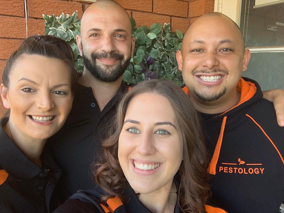 Pestology - The family owned, friendly pest control specialist