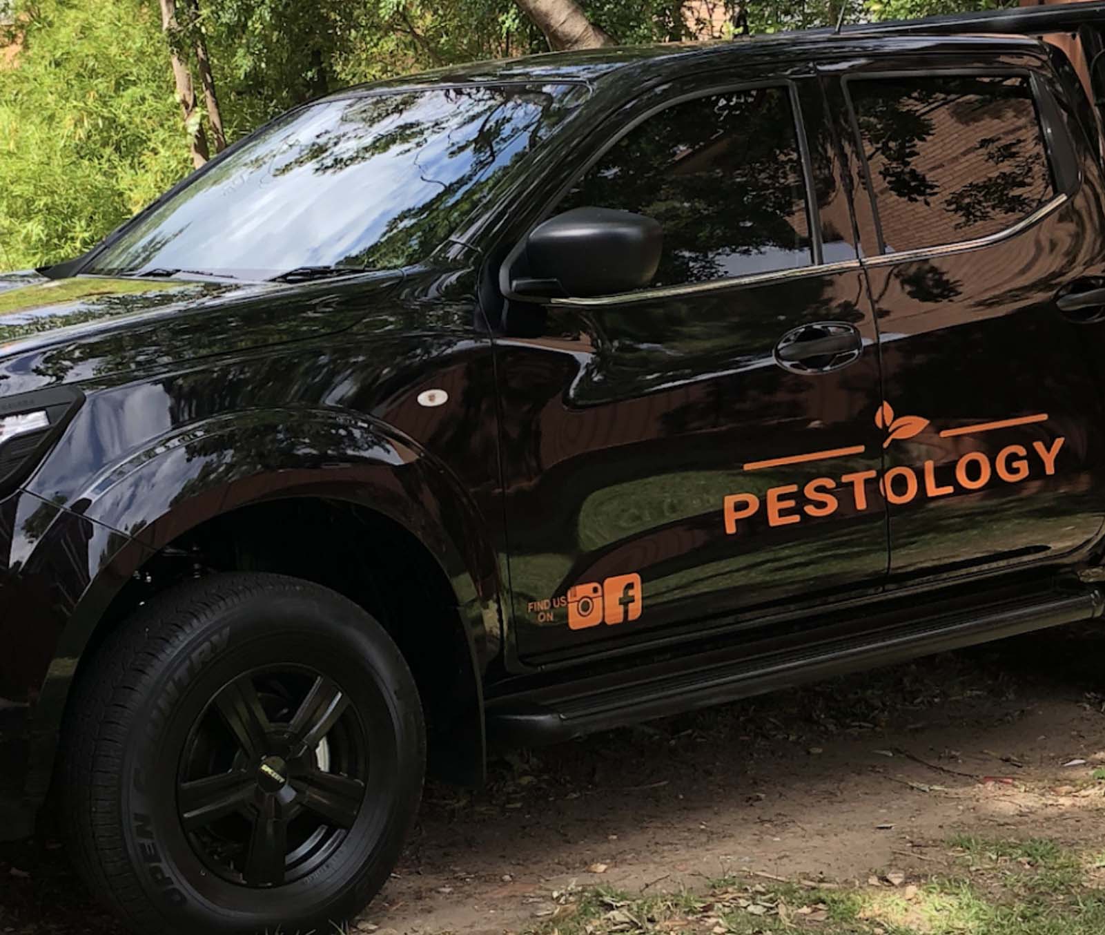 Pestology the bird proofing expert you can trust in Sydney.