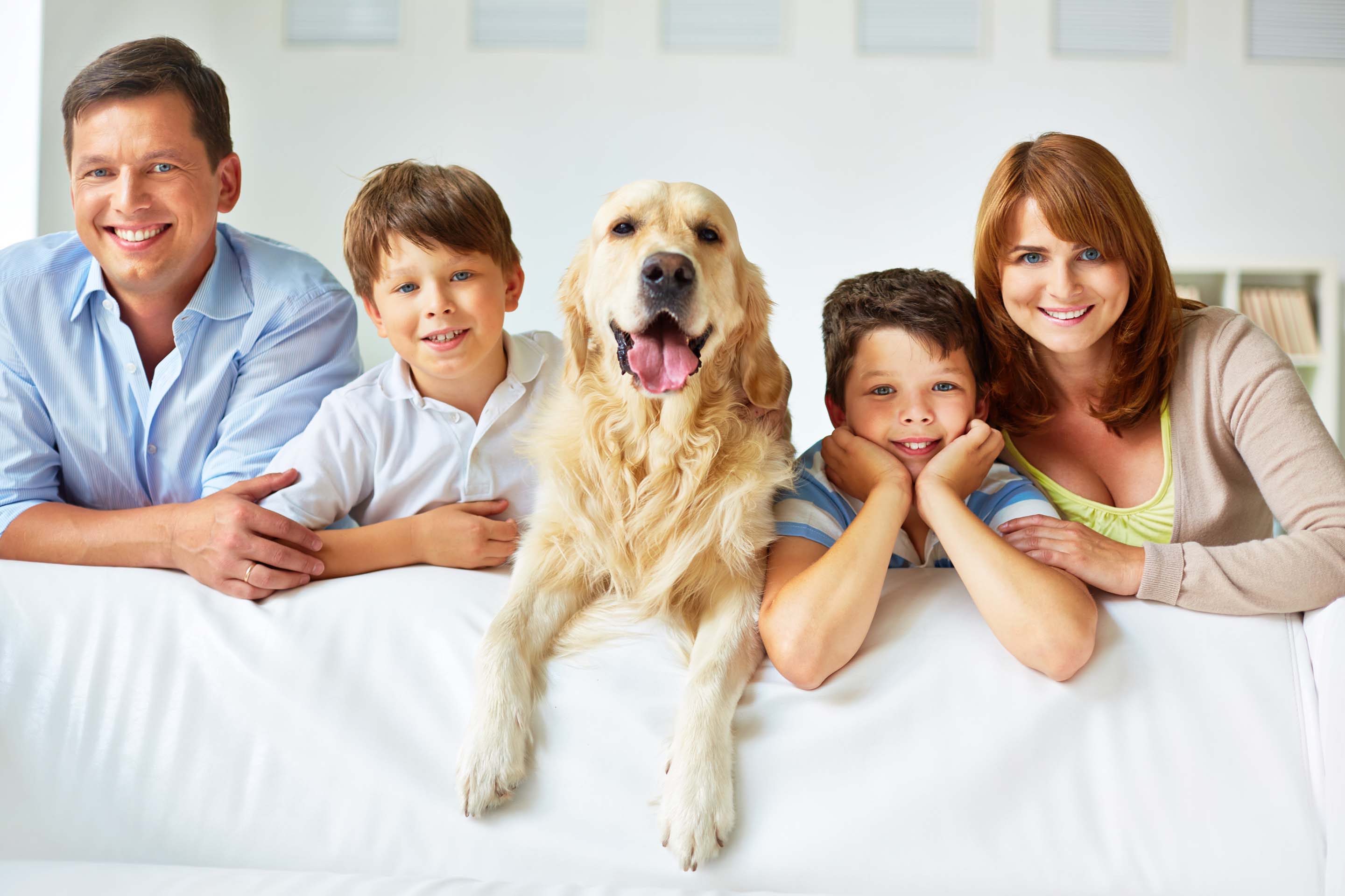 Pestology family friendly residential pest control services