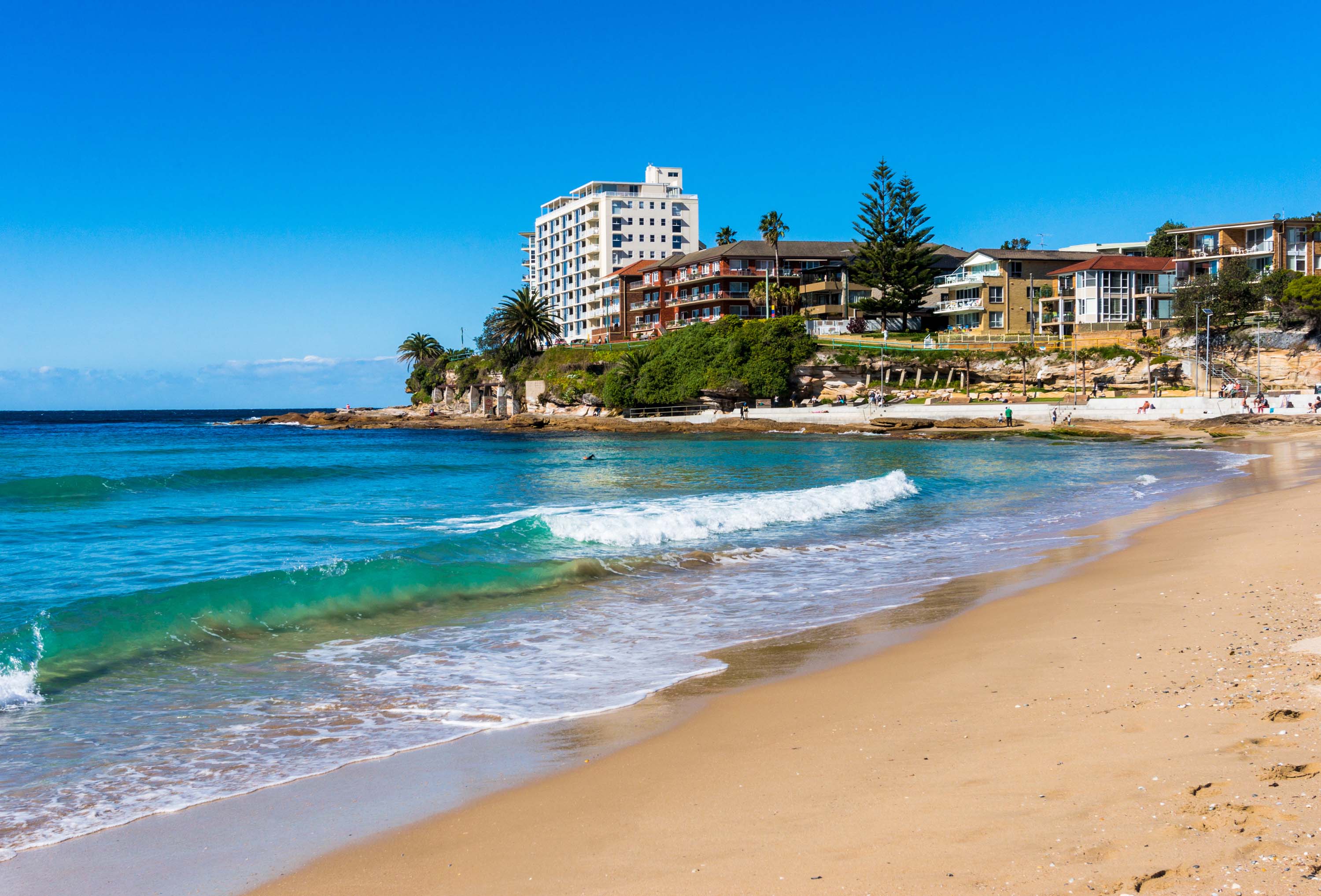 Pestology local pest control specialists in Sutherland Shire
